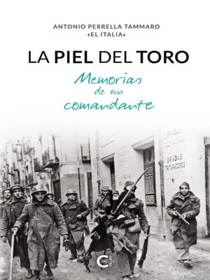 cover image of La piel del toro